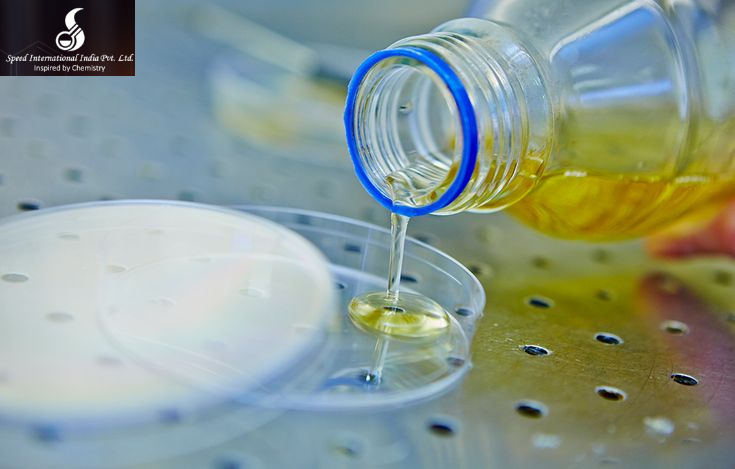 Role of Boric Acid in Food Industry Applications